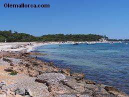 beaches Ses Salines